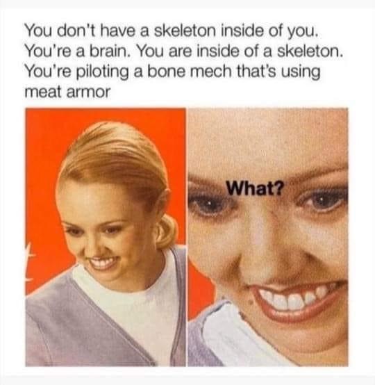 murder hornet meme - You don't have a skeleton inside of you. You're a brain. You are inside of a skeleton. You're piloting a bone mech that's using meat armor What?
