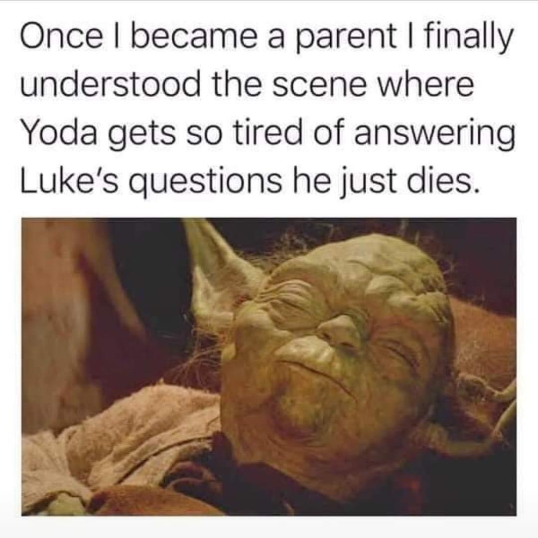 crack yoda - Once I became a parent I finally understood the scene where Yoda gets so tired of answering Luke's questions he just dies.