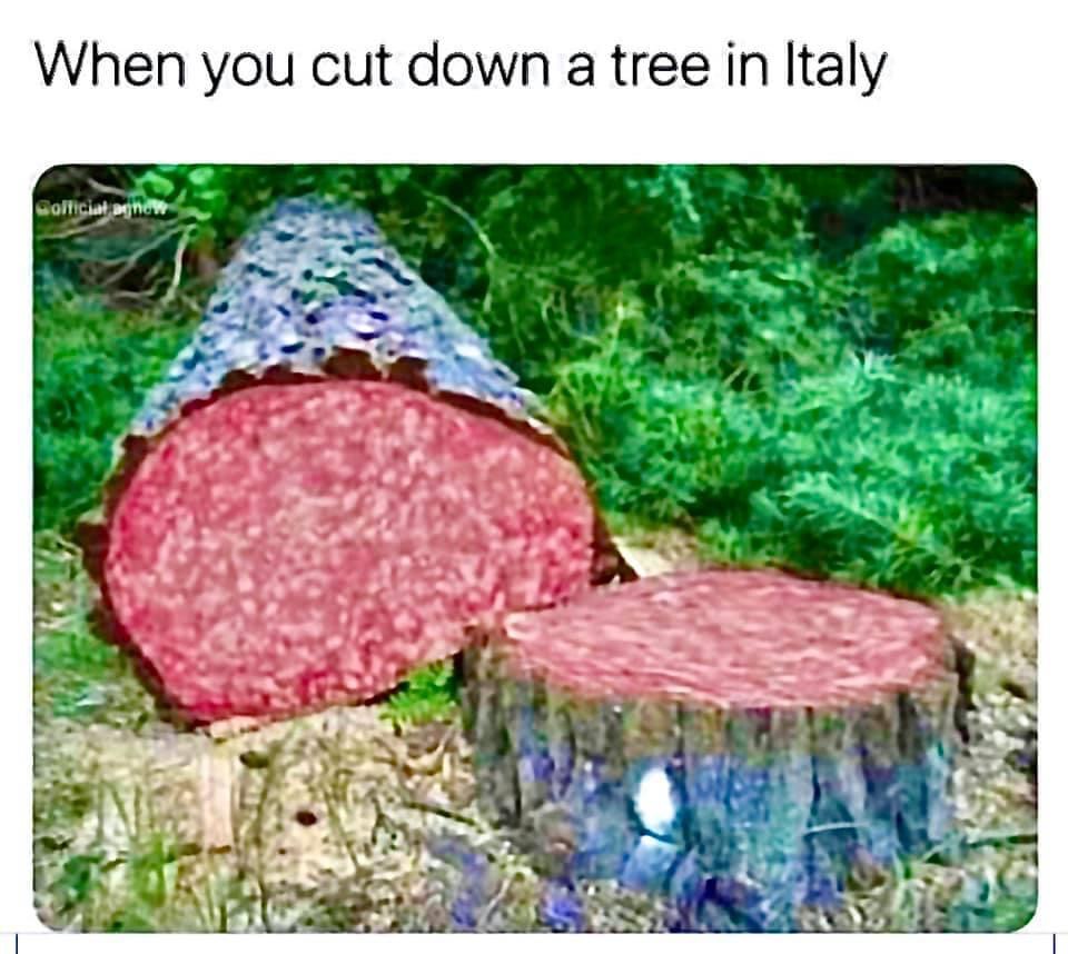 funny memes - When you cut down a tree in Italy