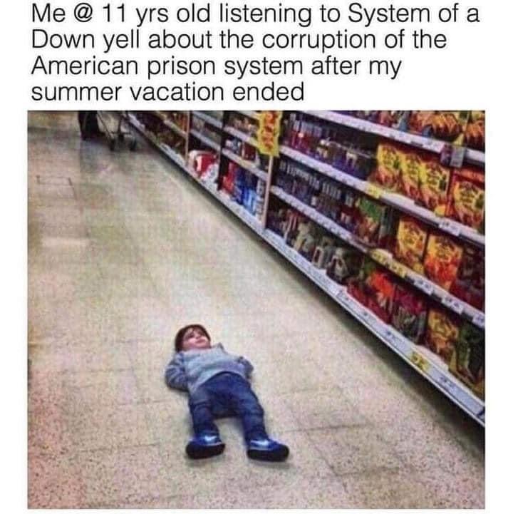 funny memes - Me @ 11 yrs old listening to System of a Down yell about the corruption of the American prison system after my summer vacation ended