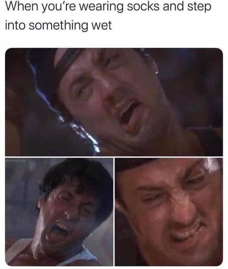 funny memes - stallone meme - When you're wearing socks and step into something wet