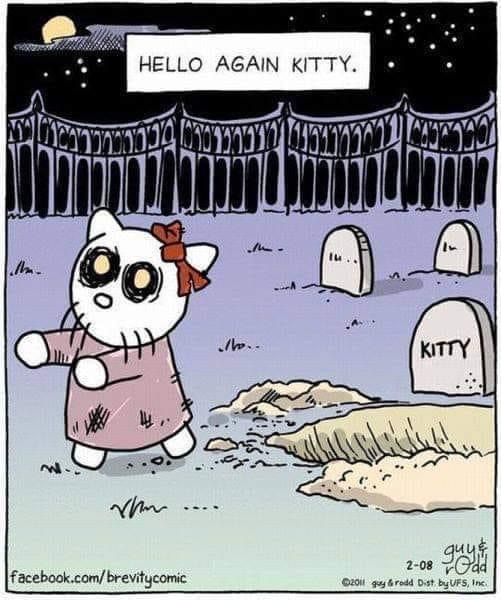 funny pics - Hello Again Kitty.