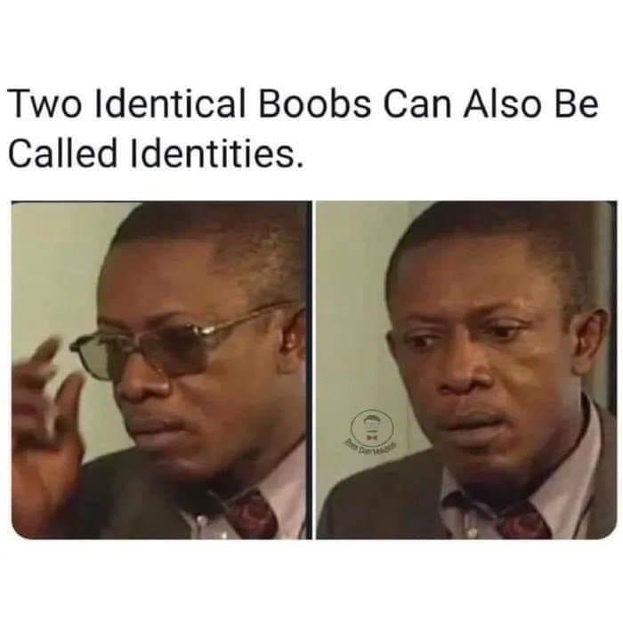 funny pics - Two Identical Boobs Can Also Be Called Identities.