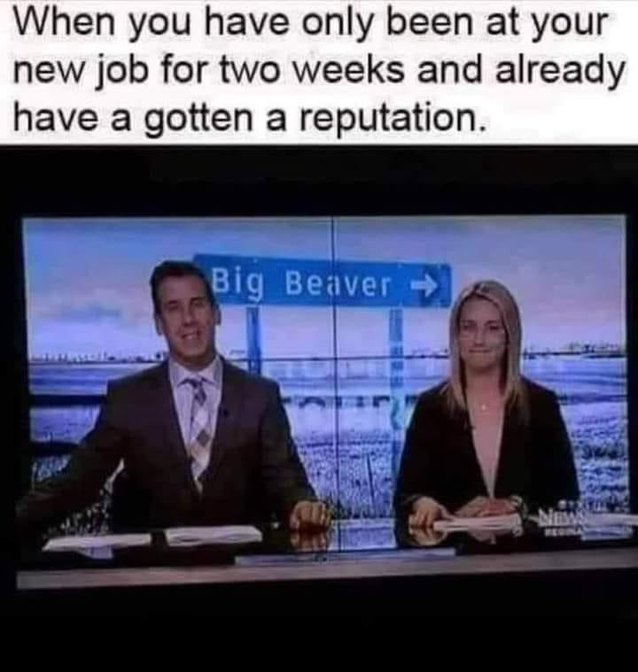 funny pics - news - When you have only been at your new job for two weeks and already have a gotten a reputation. Big Beaver > News