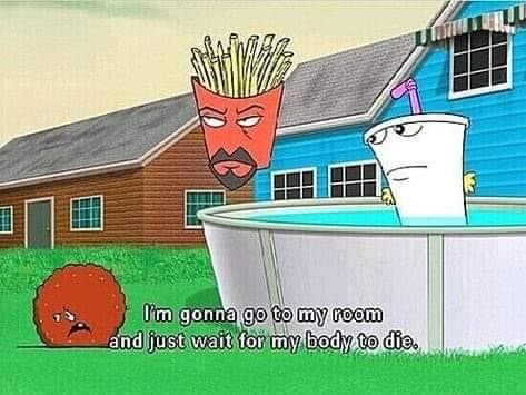 aqua teen hunger force quotes - 0 I'm gonna go to my room and just wait for my body to die.