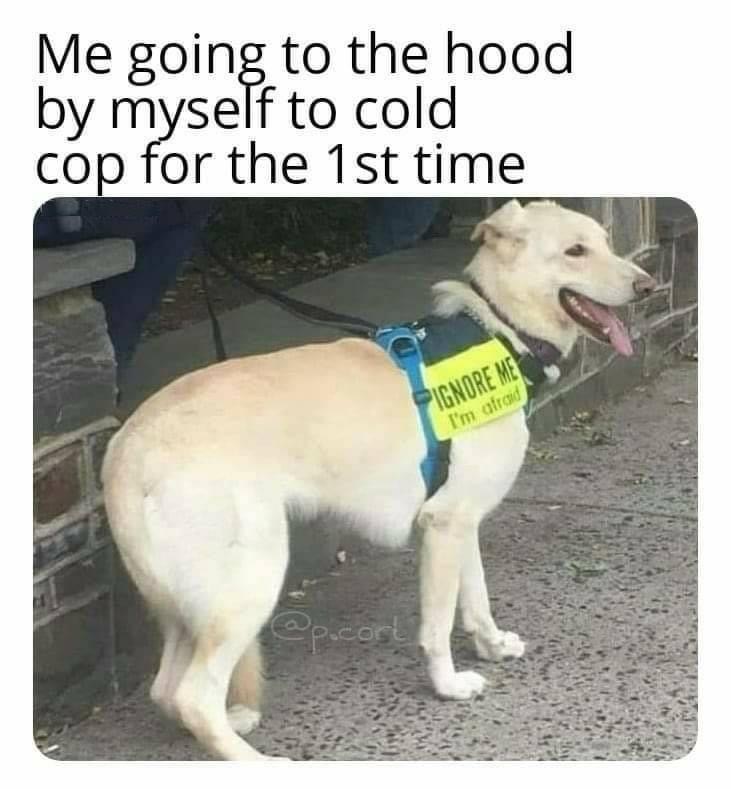 existential memes - Me going to the hood by myself to cold cop for the 1st time Pignore Me I'm afraid