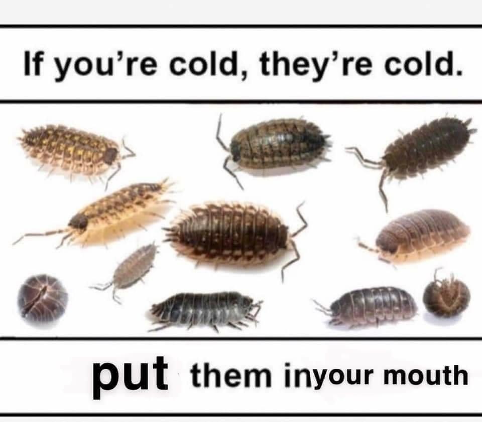 if you re cold they re cold put them in your mouth - If you're cold, they're cold. put them inyour mouth