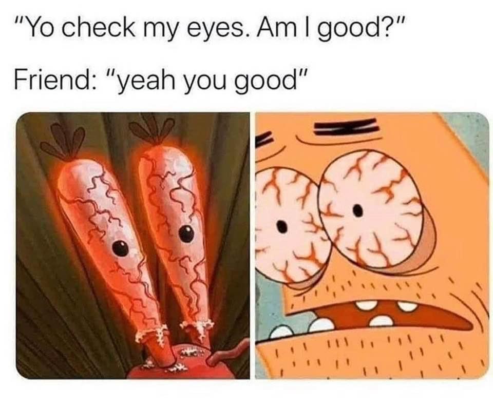Internet meme - "Yo check my eyes. Am I good?" Friend "yeah you good"