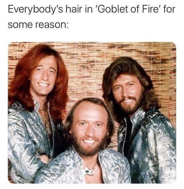 bee gees - Everybody's hair in 'Goblet of Fire' for some reason 2014
