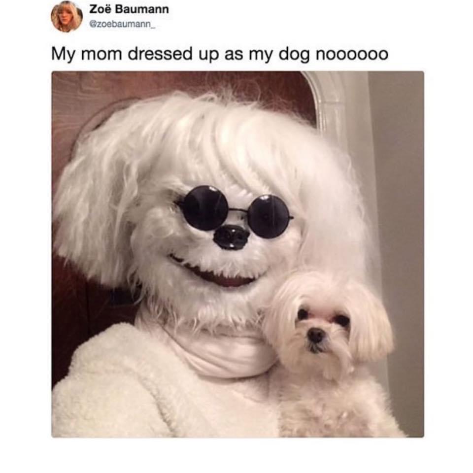 my mom dressed up as my dog - Zo Baumann My mom dressed up as my dog noooooo