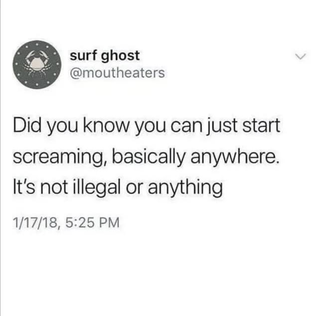 angle - surf ghost Did you know you can just start screaming, basically anywhere. It's not illegal or anything 11718,