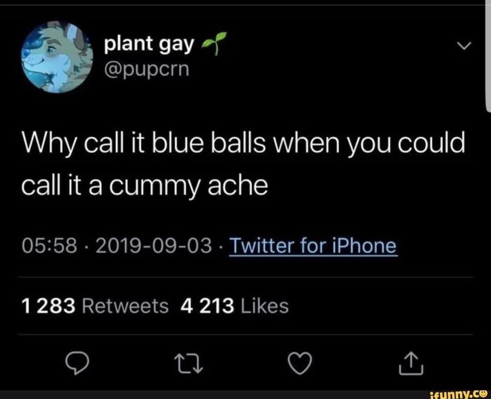 don t fuck with that bitch stormi - plant gay se Why call it blue balls when you could call it a cummy ache Twitter for iPhone 1283 4 213 27 ifunny.co