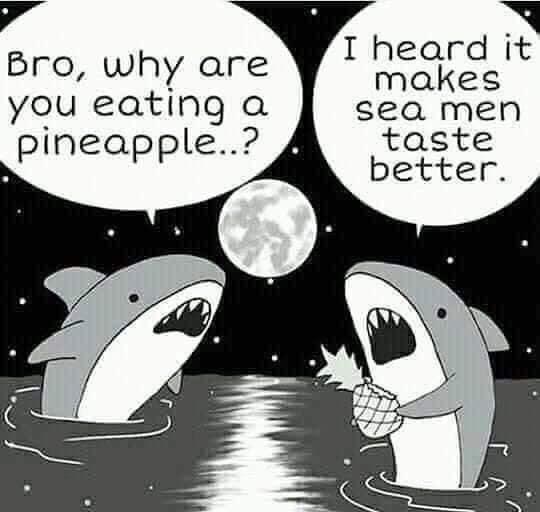 shark seamen meme - Bro, why are you eating a pineapple..? I heard it makes sea men taste better.
