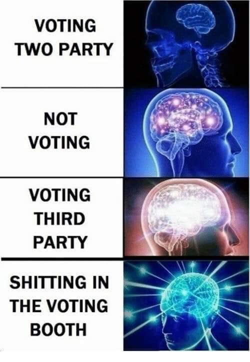 rick and morty expanding brain - Voting Two Party Not Voting Voting Third Party Shitting In The Voting Booth