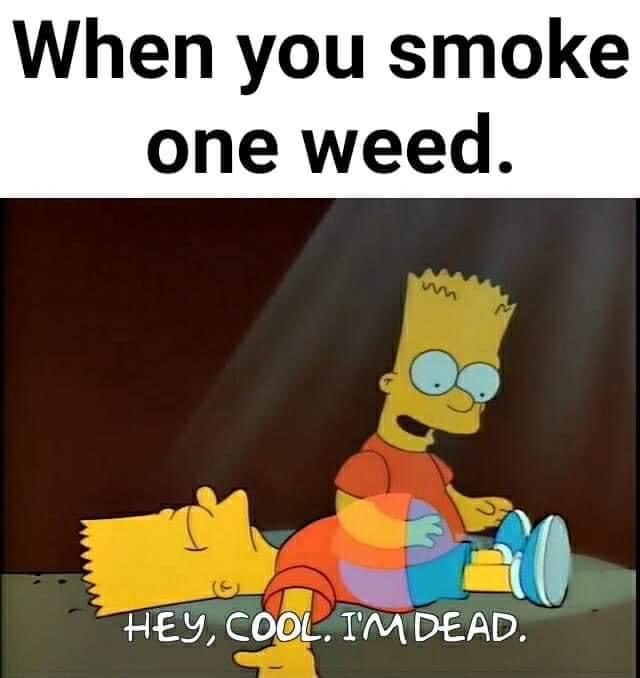 cool im dead meme - When you smoke one weed. Hey, Cool. I'M Dead.