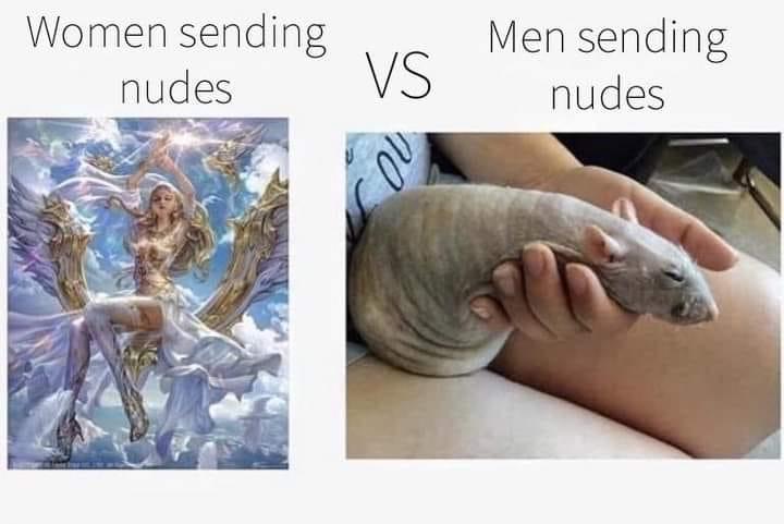 girls sending nudes vs guys sending nudes - Women sending nudes Vs Men sending nudes