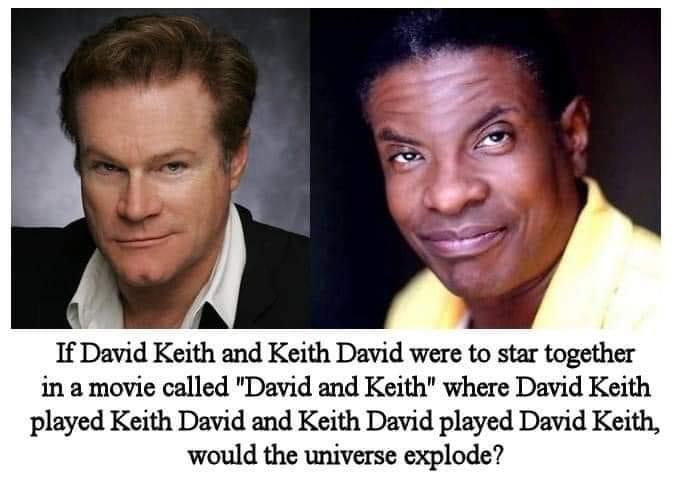 keith david meme - If David Keith and Keith David were to star together in a movie called "David and Keith" where David Keith played Keith David and Keith David played David Keith, would the universe explode?