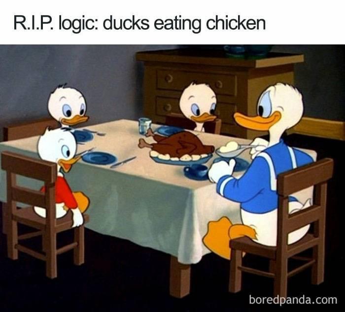 ducks eating chicken cartoon - R.I.P. logic ducks eating chicken boredpanda.com