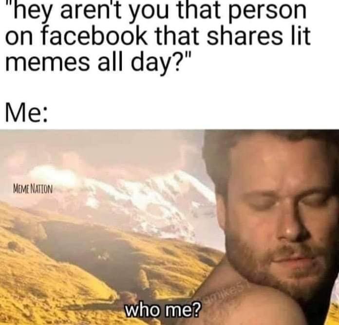 you are essential meme - "hey aren't you that person on facebook that lit memes all day?" Me Meme Nation who me? Demikes