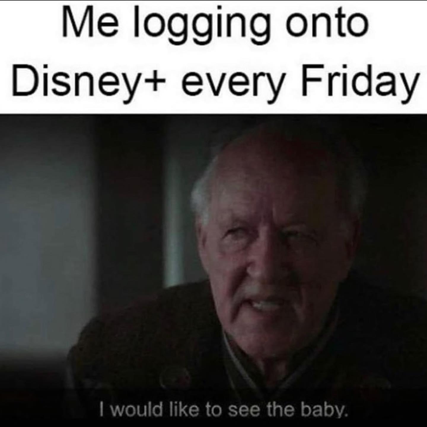 person - Me logging onto Disney every Friday I would to see the baby.