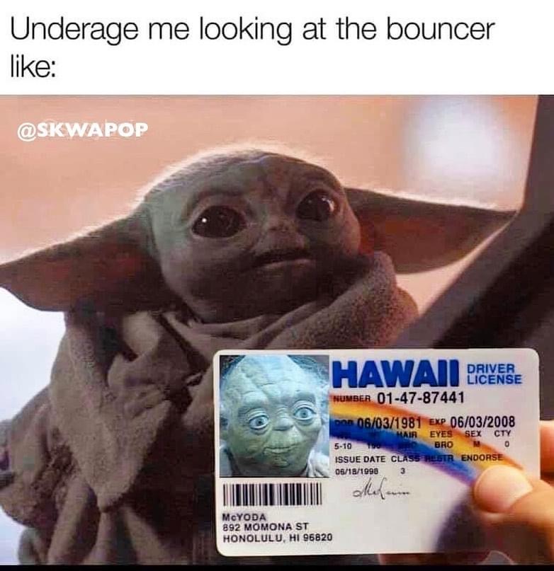 best baby yoda meme - Underage me looking at the bouncer Driver License Number 014787441 Por 06031981 Exp 06032008 Hair Eyes Sey Cty 510 Bro 0 Issue Date Class Restr Endorse 06181998 3 Mel.com Mcyoda 892 Momona St Honolulu, Hi 96820