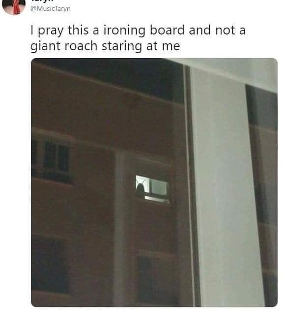 window - I pray this a ironing board and not a giant roach staring at me