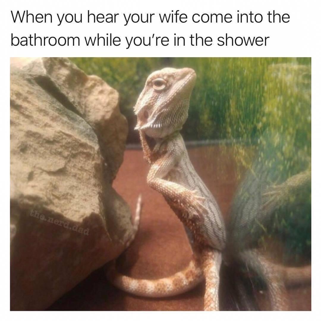 lizard shower meme - When you hear your wife come into the bathroom while you're in the shower the nerd.dad
