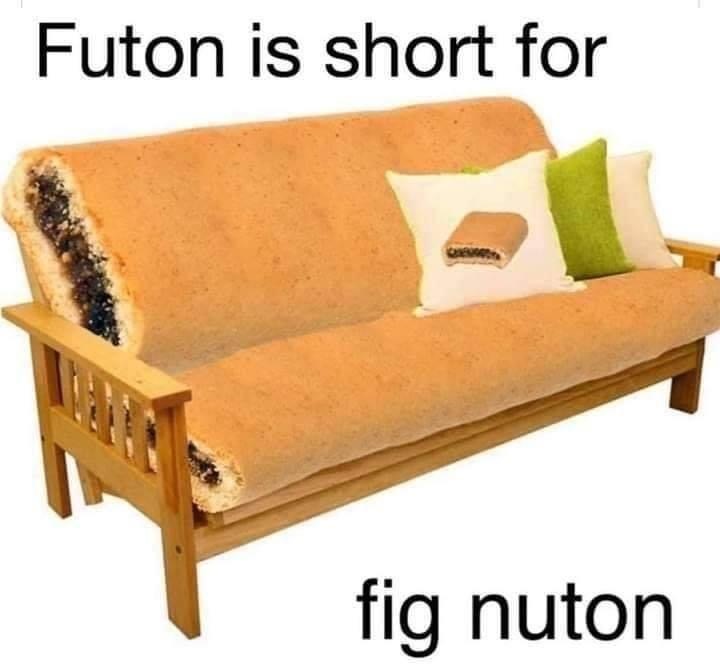 fig nuton - Futon is short for fig nuton