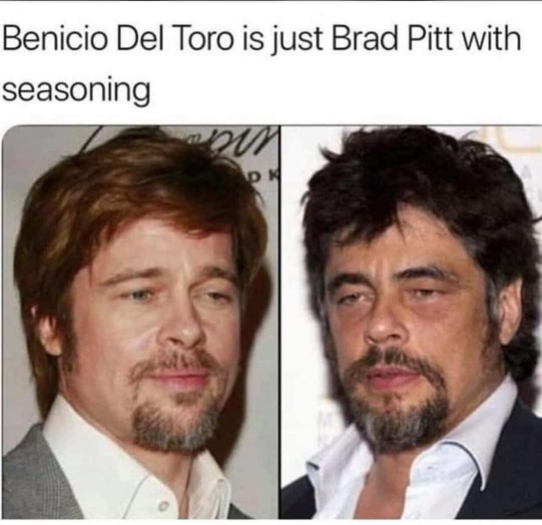benicio del toro brad pitt meme - Benicio Del Toro is just Brad Pitt with seasoning mu Dll
