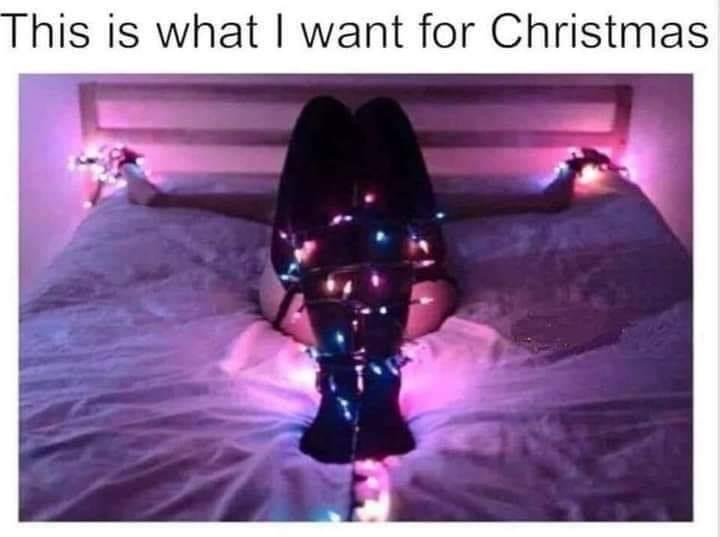 christmas lights bondage - This is what I want for Christmas