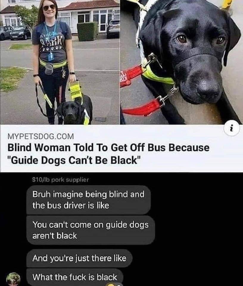 blind woman told to get off bus - Ir Mypetsdog.Com Blind Woman Told To Get Off Bus Because "Guide Dogs Can't Be Black" $10lb pork supplier Bruh imagine being blind and the bus driver is You can't come on guide dogs aren't black And you're just there What 