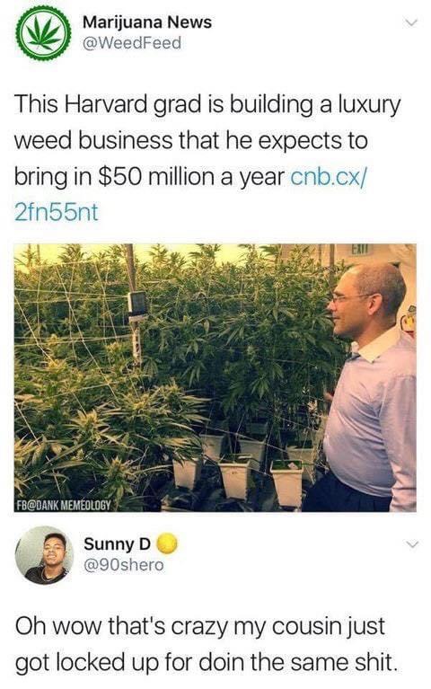 dank sunny d memes - Marijuana News This Harvard grad is building a luxury weed business that he expects to bring in $50 million a year cnb.cx 2fn55nt Fb Memeology Sunny D Oh wow that's crazy my cousin just got locked up for doin the same shit.