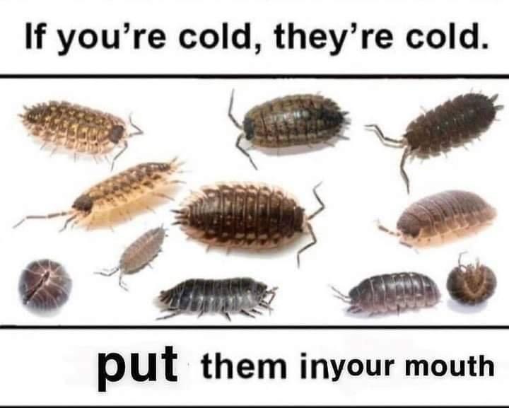 if youre cold theyre cold - If you're cold, they're cold. put them inyour mouth