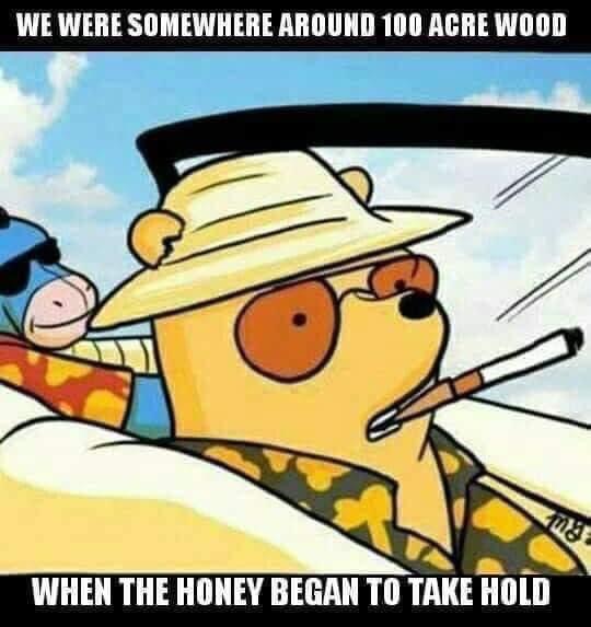 winnie the pooh fear and loathing - We Were Somewhere Around 100 Acre Wood When The Honey Began To Take Hold