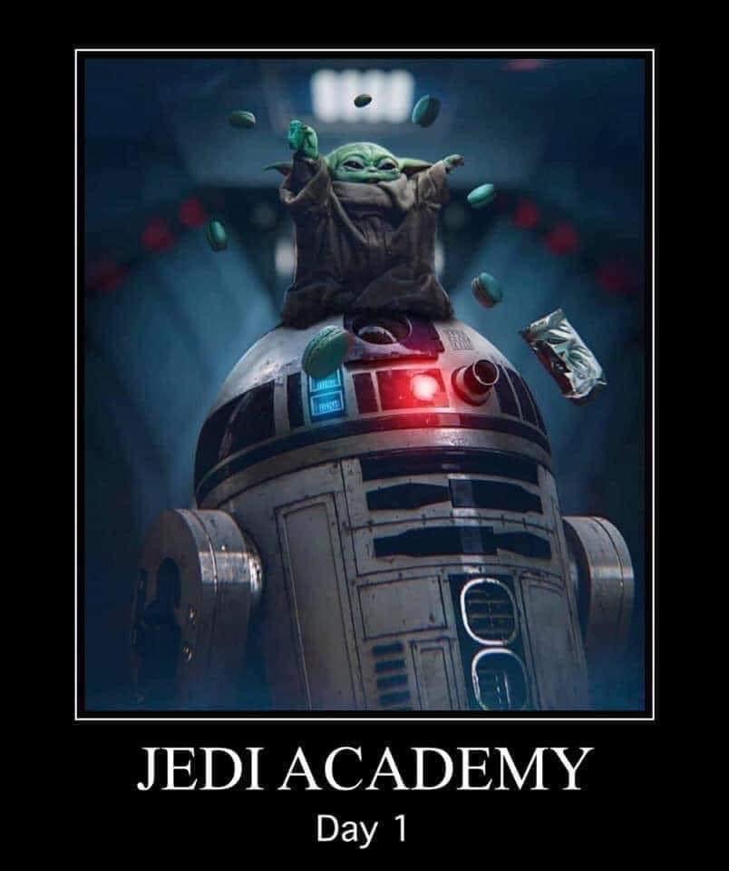 Grogu - Jedi Academy Day 1