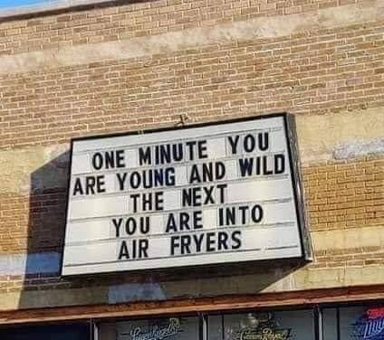 one minute you are young and wild - One Minute You Are Young And Wild The Next You Are Into Air Fryers