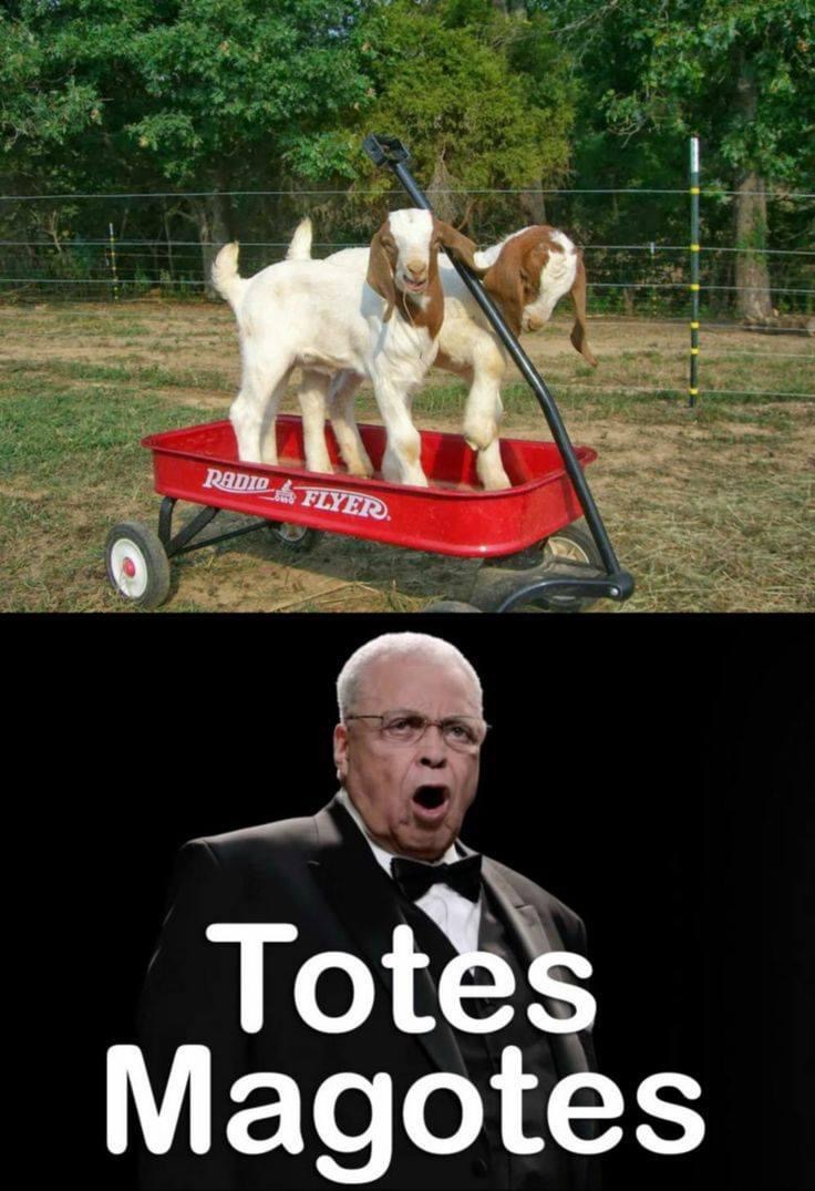 tote ma goats - Radio Flyer. Totes Magotes
