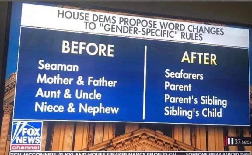 billboard - House Dems Propose Word Changes To "GenderSpecific" Rules Before Seaman Mother & Father Aunt & Uncle Niece & Nephew After Seafarers Parent Parent's Sibling Sibling's Child V Fox Vnews 11 37 secs channel Fucconeitin Al Voice Creavedimancy Ocioc