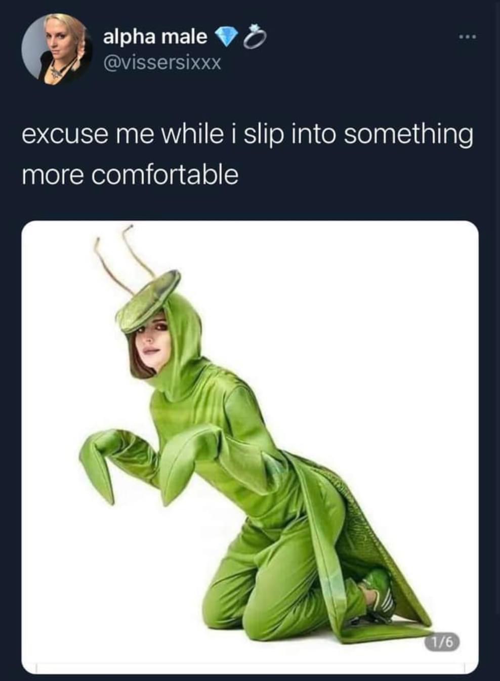 sexy mantis costume - alpha male excuse me while i slip into something more comfortable 16