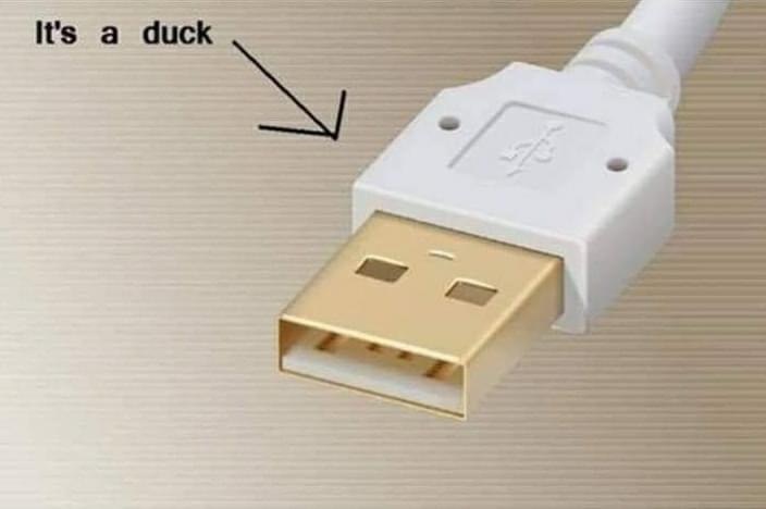 you see it you can never unsee - It's a duck