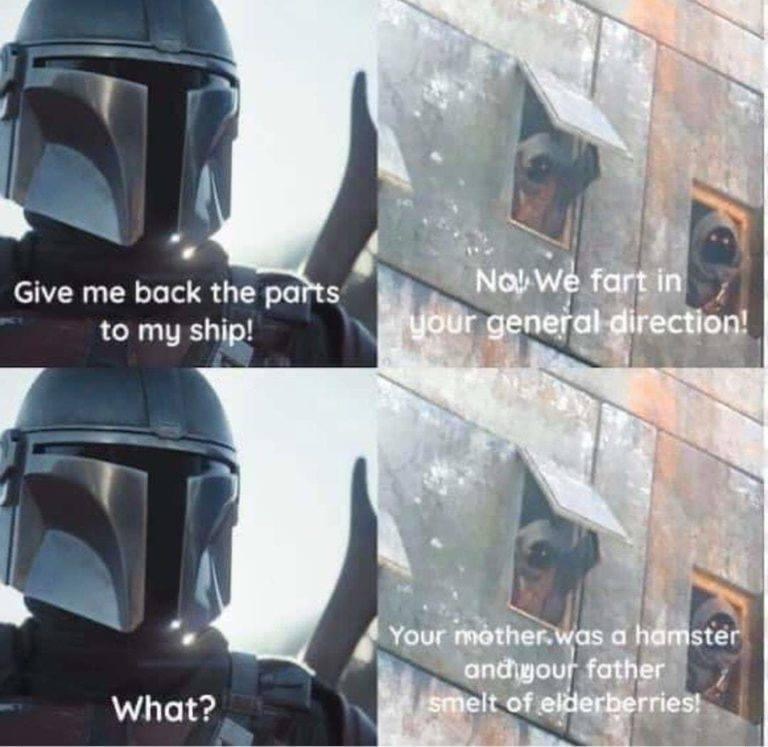 mandalorian memes - Give me back the parts to my ship! No! We fart in your general direction! Your mother was a hamster andhyour father smelt of elderberries! What?