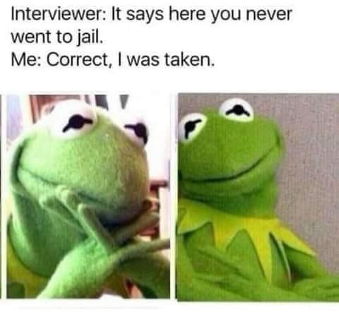 kermit the frog - Interviewer It says here you never went to jail. Me Correct, I was taken.