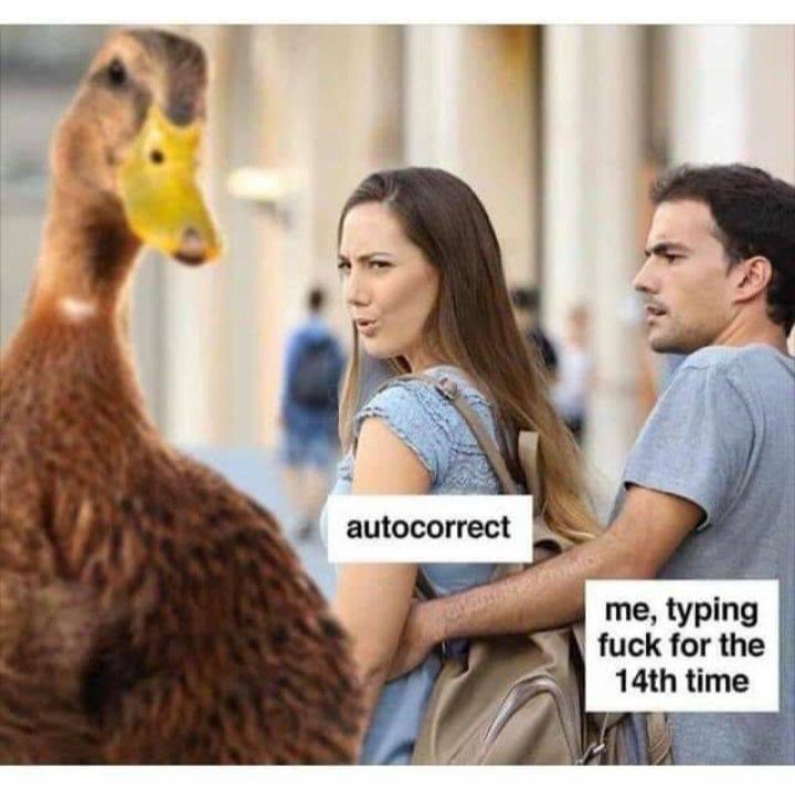 autocorrect duck - autocorrect me, typing fuck for the 14th time