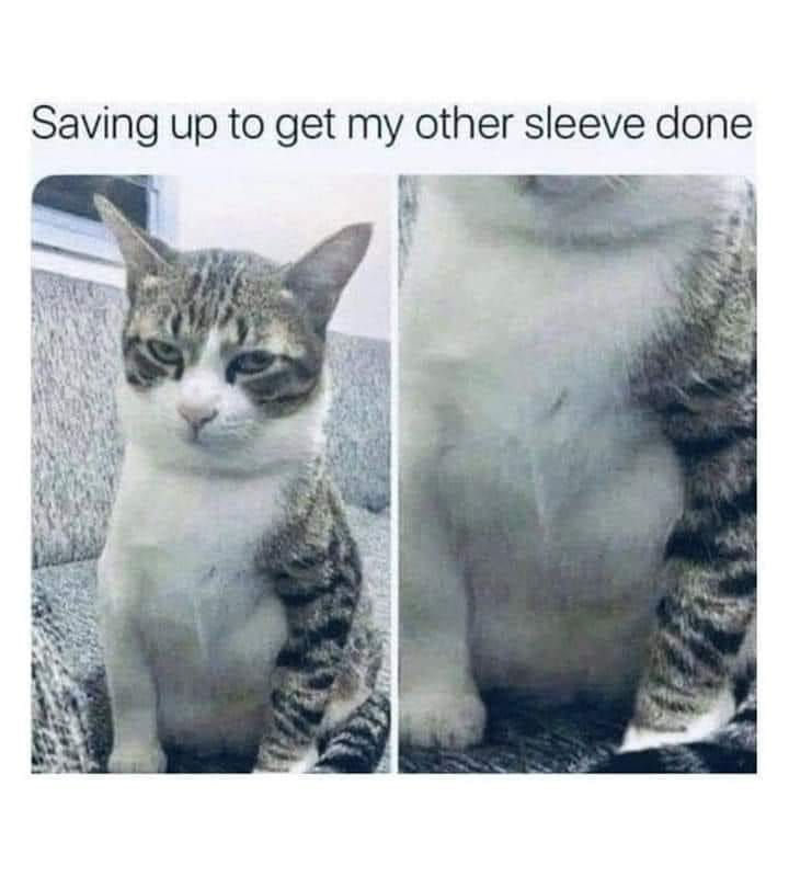 monday morning randomness -  r mademesmile cat saved - Saving up to get my other sleeve done