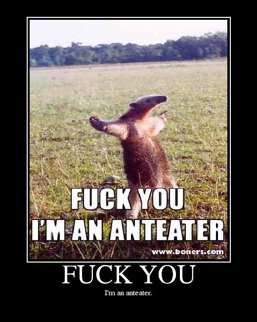 I'm an anteater.