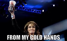 Sarah Palin From my cold dead hands