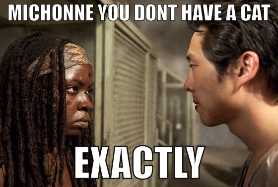 Michonne Glenn TWD You dont have a cat