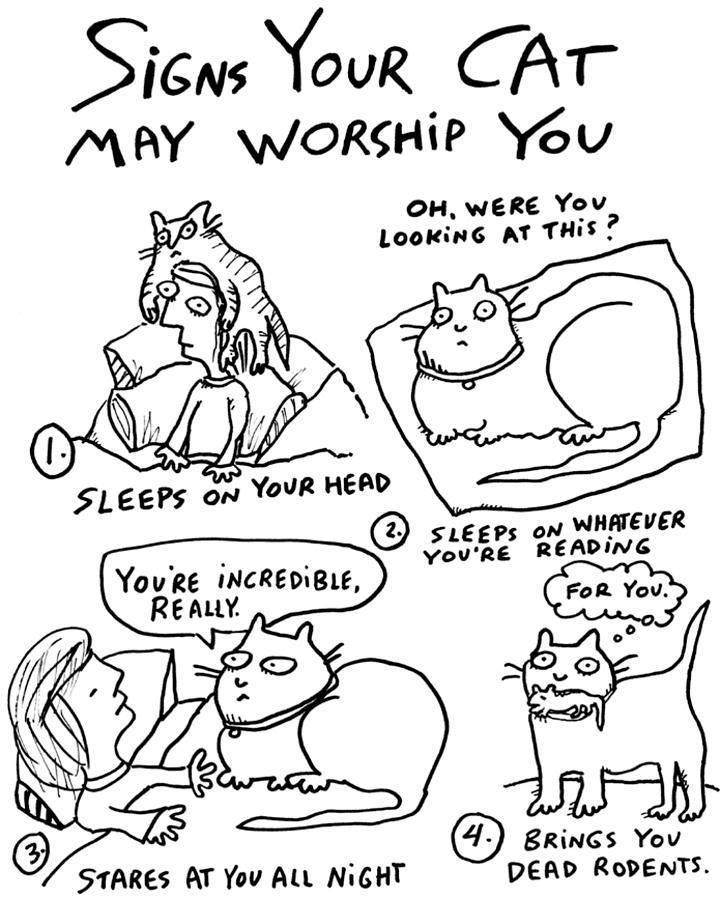 PaulRevered's Caturday - Third