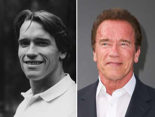 Arnold Schwarzenegger (1984, 2015)