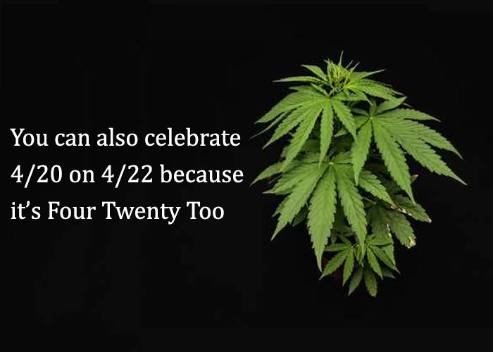 what is happy 4 20